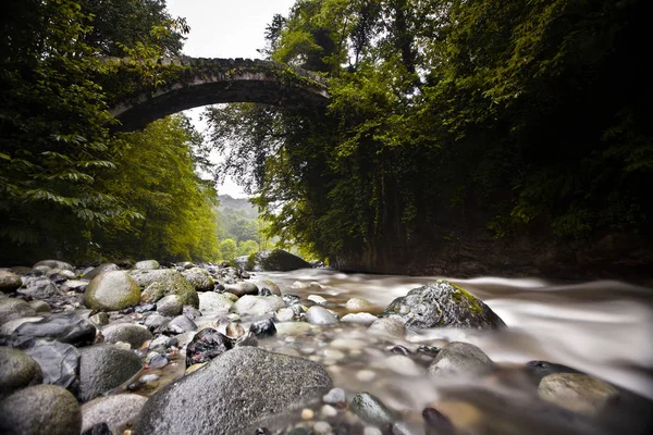 Doğu Karadeniz ve Kaçkar Dağları Manzarası