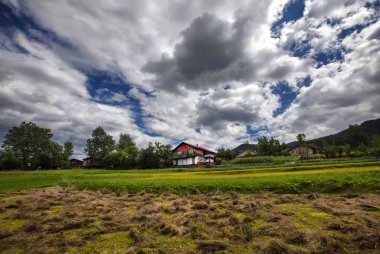 Doğu Karadeniz ve Kaçkar Dağları Manzarası