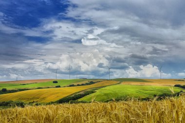 Doğu Karadeniz ve Kaçkar Dağları Manzarası