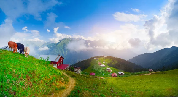 Uitzicht Oostelijke Zwarte Zee Kackar Mountains — Stockfoto