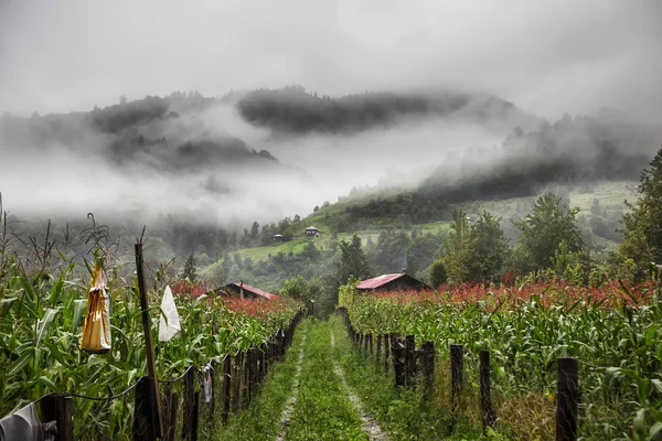 Vue Sur Mer Noire Orientale Les Montagnes Kackar — Photo