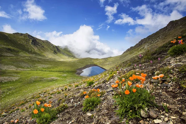 View of Eastern Black Sea and Kackar Mountains