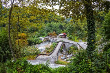 Doğu Karadeniz ve Kaçkar Dağları Manzarası