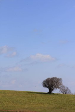 Istanbul Takımadaları deniz ve ufuk çizgisi