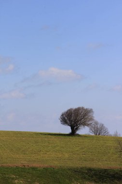 Istanbul Takımadaları deniz ve ufuk çizgisi