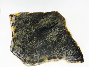 Sıkıştırılmış Kaplumbağa Kabuğu Beyaz Arka Plan