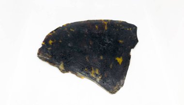 Sıkıştırılmış Kaplumbağa Kabuğu Beyaz Arka Plan