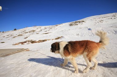 Uludağ kayak merkezi / Bursa