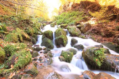 Yedigöller Milli Parkı / Bolu
