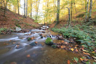Yedigöller Milli Parkı / Bolu