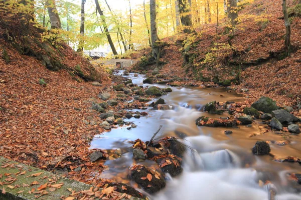 Національний Парк Єдіоллер Bolu — стокове фото