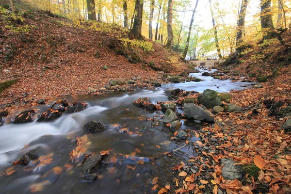 Національний Парк Єдіоллер Bolu — стокове фото