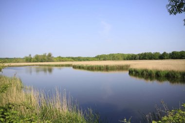 Uzunöz ormanları / Kadıköy - Kırklareli