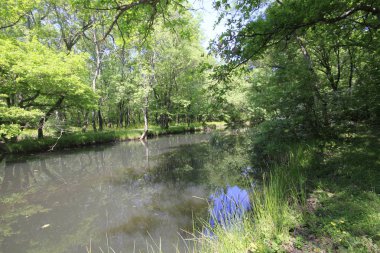 Uzunöz ormanları / Kadıköy - Kırklareli