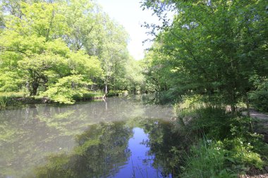 Uzunöz ormanları / Kadıköy - Kırklareli