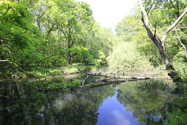 Uzunöz ormanları / Kadıköy - Kırklareli