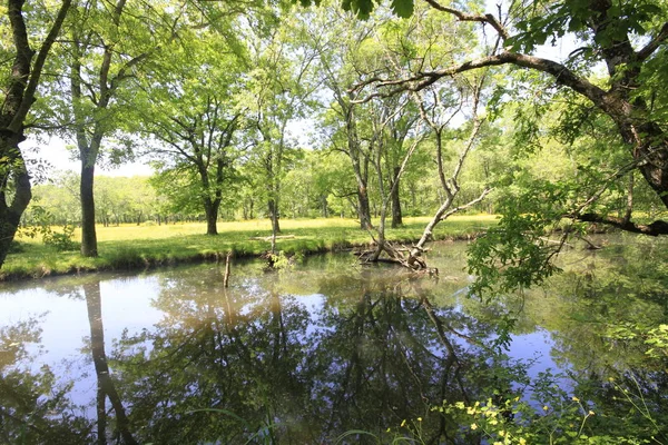 Uzunöz ormanları / Kadıköy - Kırklareli