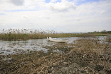 Glyazi Gölü ve Peyzajı / Bursa