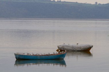 Apolyont Ulubat gölü Glyazi Bursa Türkiye