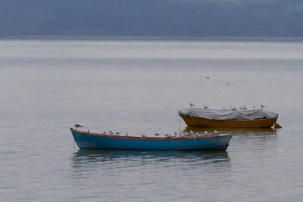 Аполионт Улубат Озеро Глязи Бурса Турция — стоковое фото