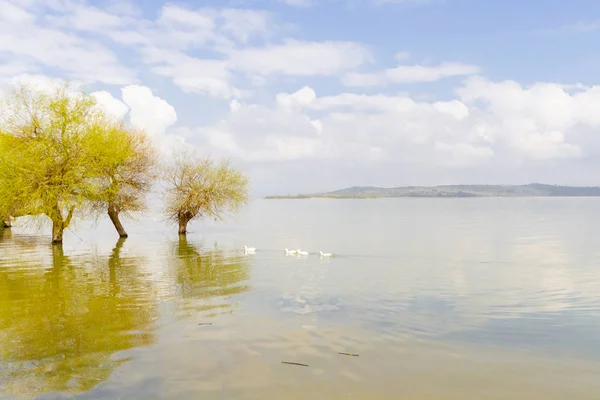 Apolyont Ulubat Lago Glyazi Bursa Turquia — Fotografia de Stock