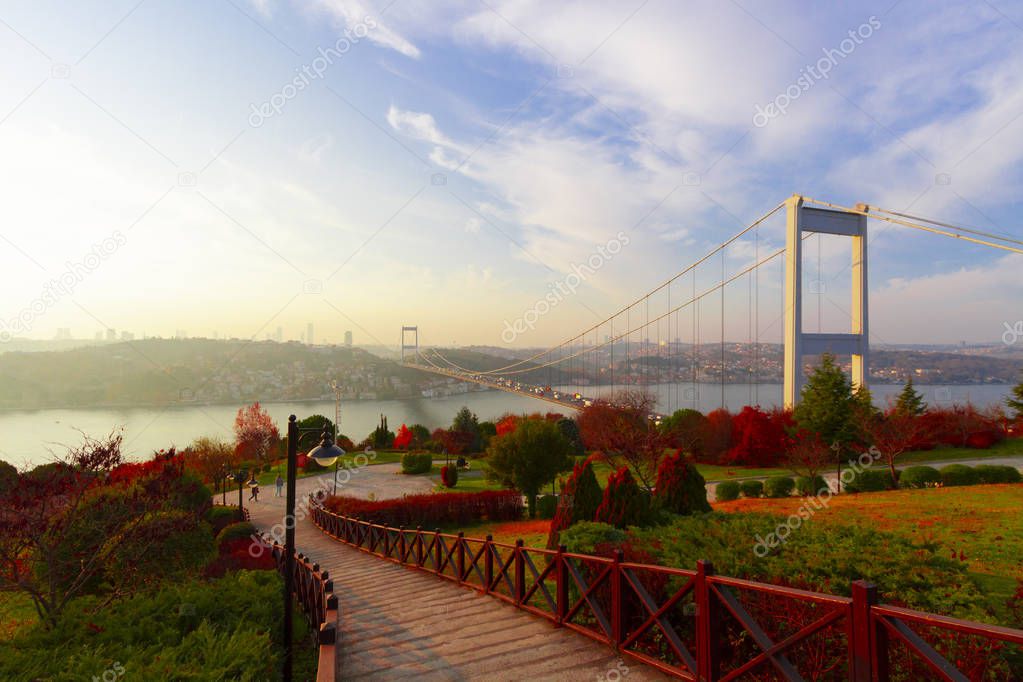 Bosphorus Bridge and istanbul city