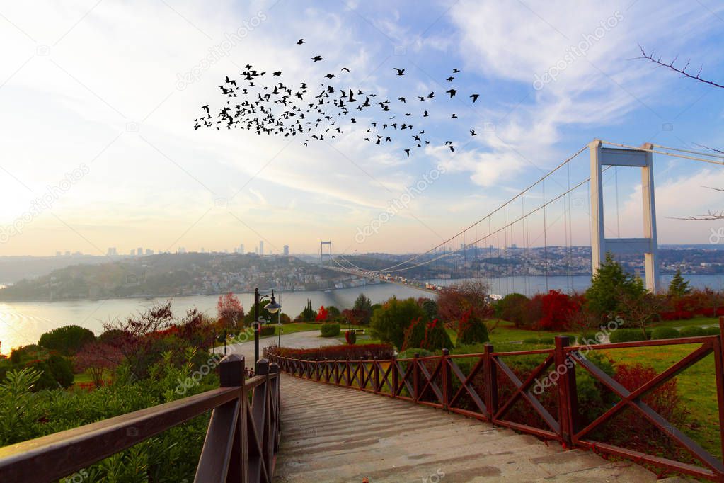 Bosphorus Bridge and istanbul city