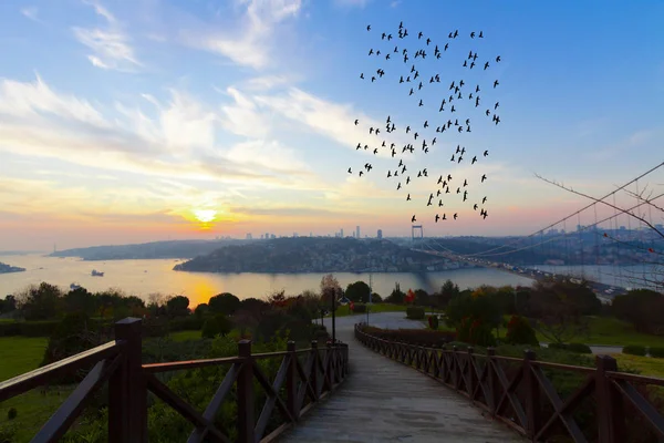 Ponte Bósforo Cidade Istanbul — Fotografia de Stock
