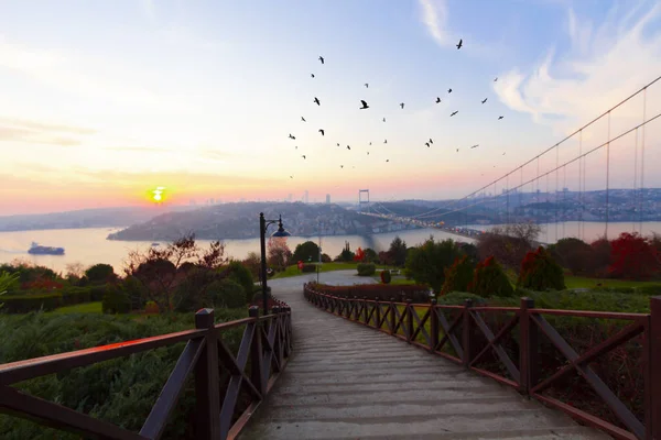 Pont Bosphore Ville Istanbul — Photo
