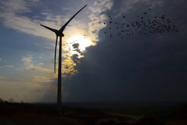 41/5000Windmill and cloudy weather, sunset