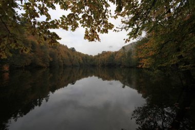 Sonbaharda Yedigöller Milli Parkı