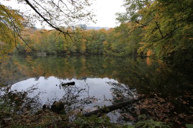 Sonbaharda Yedigöller Milli Parkı