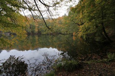 Sonbaharda Yedigöller Milli Parkı