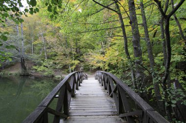 Sonbaharda Yedigöller Milli Parkı