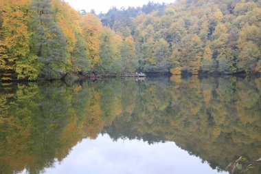 Sonbaharda Yedigöller Milli Parkı