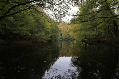 Sonbaharda Yedigöller Milli Parkı
