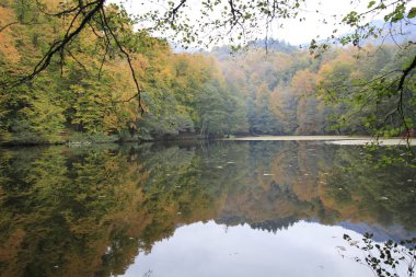 Sonbaharda Yedigöller Milli Parkı
