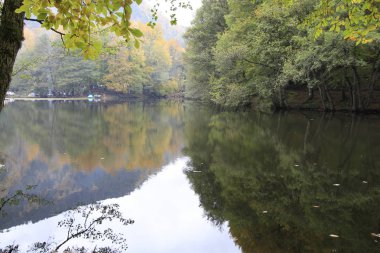 Sonbaharda Yedigöller Milli Parkı