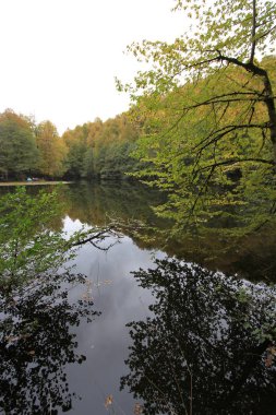 Sonbaharda Yedigöller Milli Parkı
