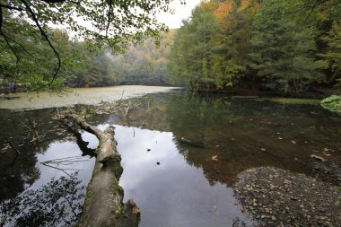 Sonbaharda Yedigöller Milli Parkı