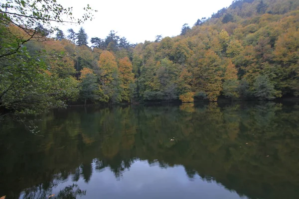 秋天的耶迪戈勒国家公园 — 图库照片