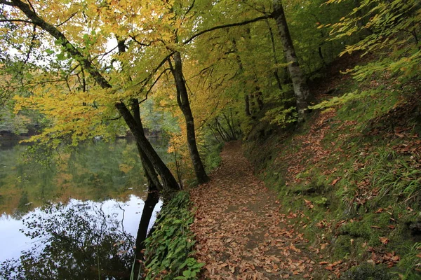 Parque Nacional Yedigoller Outono — Fotografia de Stock