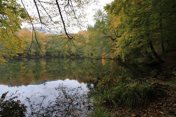 Parco Nazionale Yedigoller Autunno — Foto Stock