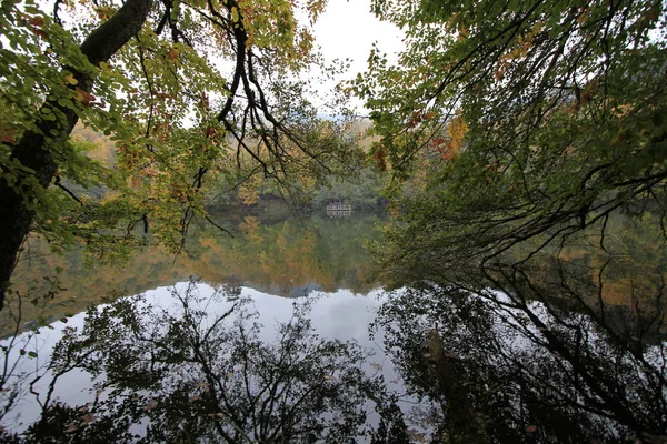 Národní Park Yedigoller Podzim — Stock fotografie