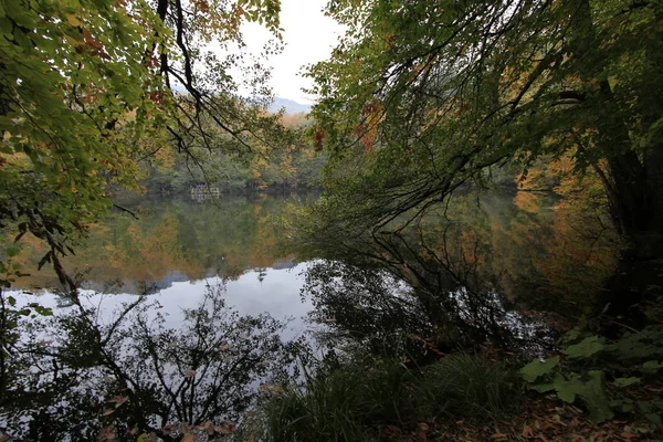 秋のイエディゴラー国立公園 — ストック写真
