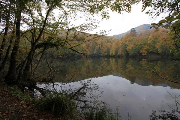 Park Narodowy Yedigoller Jesienią — Zdjęcie stockowe