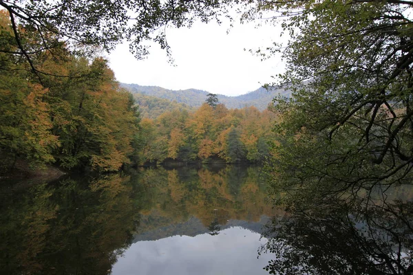 Park Narodowy Yedigoller Jesienią — Zdjęcie stockowe