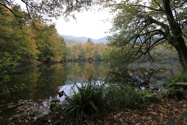 Yedigoller Nationalpark Hösten — Stockfoto