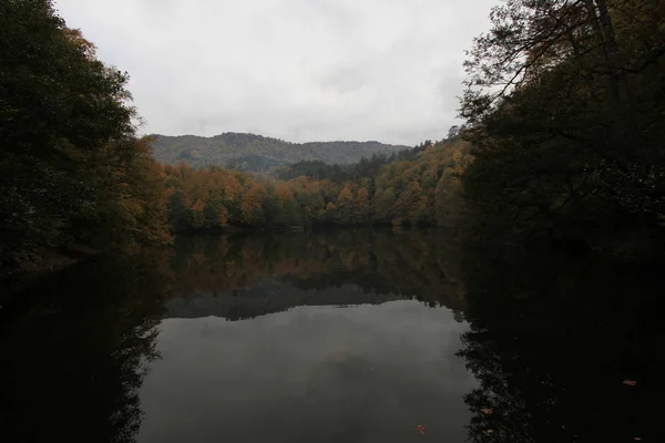 Yedigoller National Park Herfst — Stockfoto