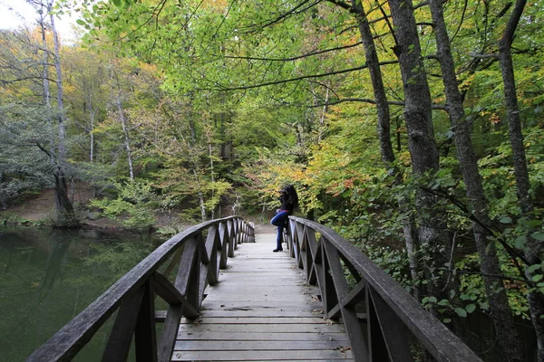 Parque Nacional Yedigoller Outono — Fotografia de Stock